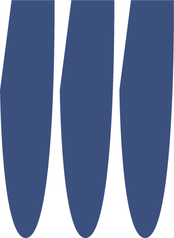 WTFork logo